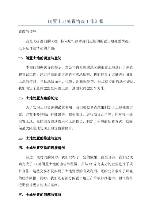 闲置土地处置情况工作汇报