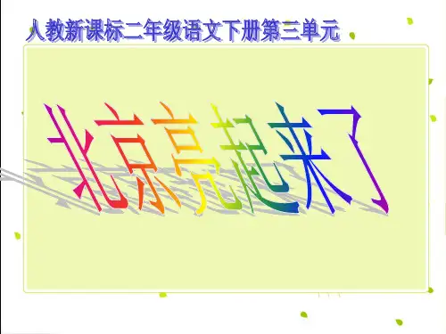 《北京亮起来了》ppt课件(4篇)