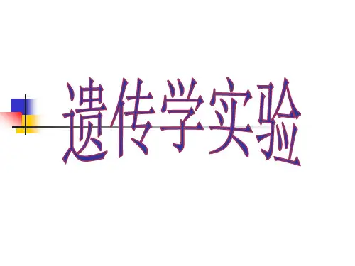 实验一 植物有丝分裂过程中染色体行为的观察