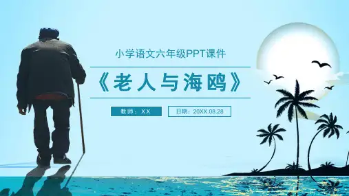 人教版语文六年级老人与海鸥课件
