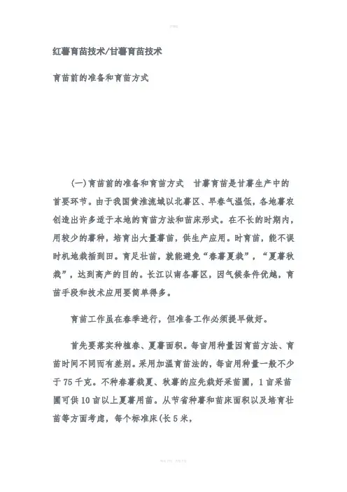 红薯育苗技术