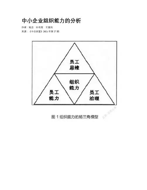中小企业组织能力的分析