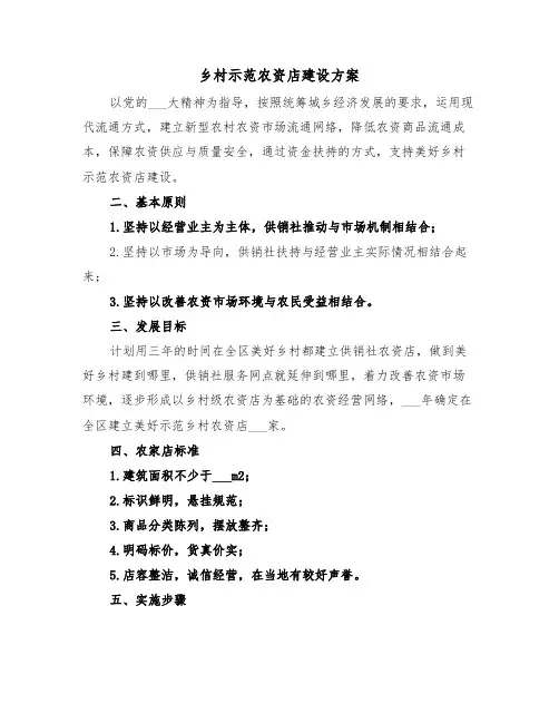 乡村示范农资店建设方案(3篇)