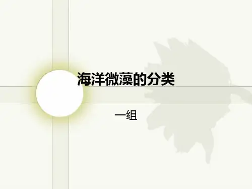 海洋微藻的分类