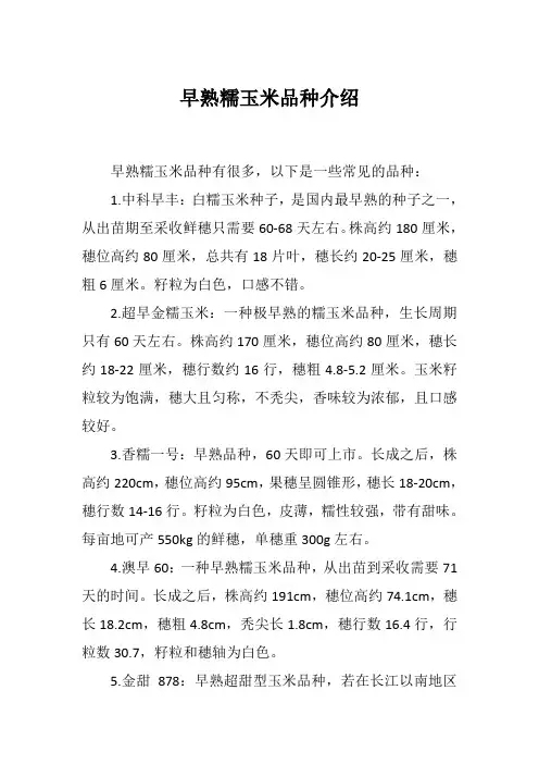 早熟糯玉米品种介绍