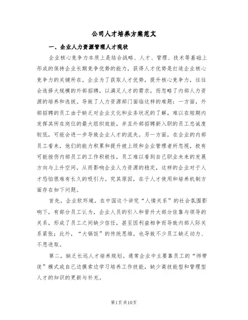 公司人才培养方案范文（三篇）