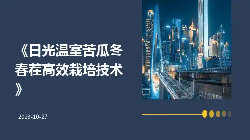 日光温室苦瓜冬春茬高效栽培技术