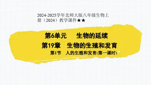 人的生殖和发育(第一课时) 课件(共23张PPT)2024-2025学年北师大版八年级生物上册