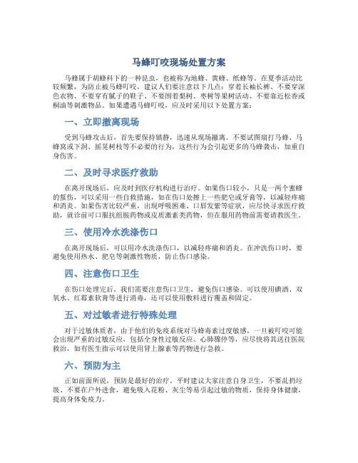 马蜂叮咬现场处置方案