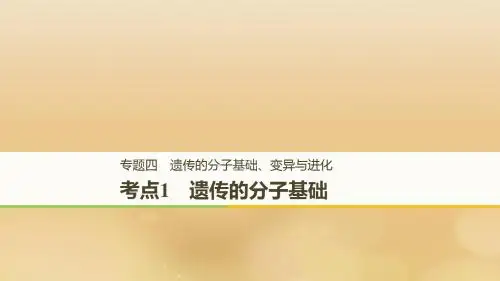 全国高考生物二轮复习专题四遗传的分子基础变异与进化考点1遗传的分子基础课件