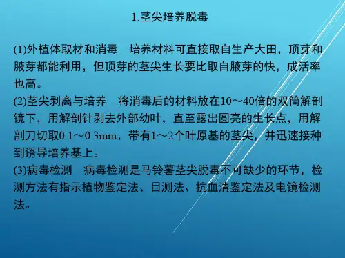 植物组织培养6-4