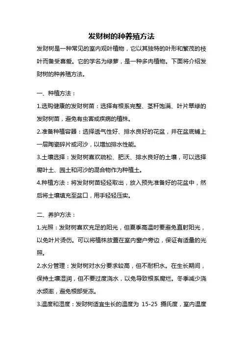 发财树的种养殖方法