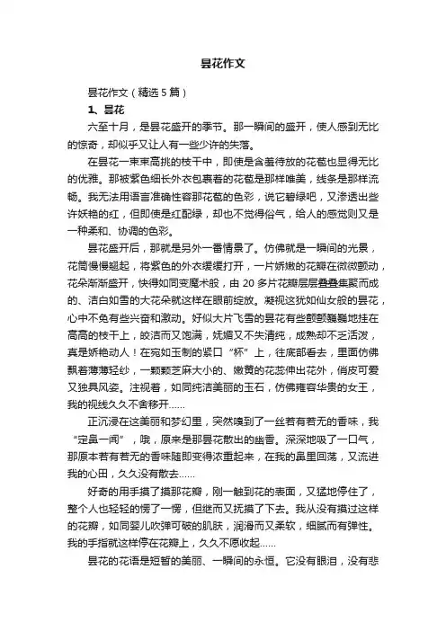 昙花作文（精选5篇）