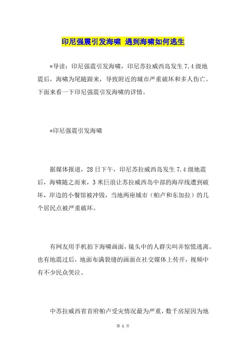 印尼强震引发海啸 遇到海啸如何逃生