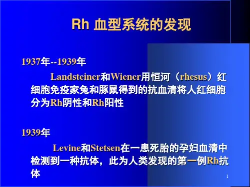 血型系统-RhPPT课件