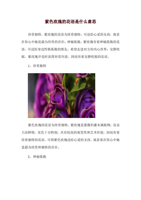 紫色玫瑰的花语是什么意思