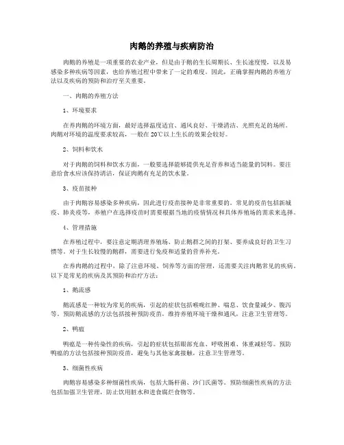 肉鹅的养殖与疾病防治