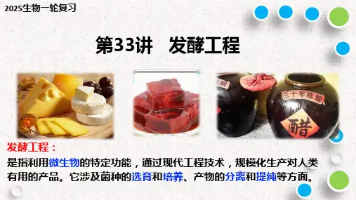 2025届高三生物一轮复习课件：发酵工程