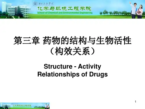 第3章 药物的结构与生物活性