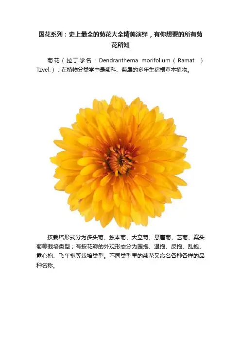 国花系列：史上最全的菊花大全精美演绎，有你想要的所有菊花所知