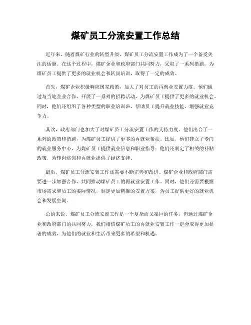 煤矿员工分流安置工作总结