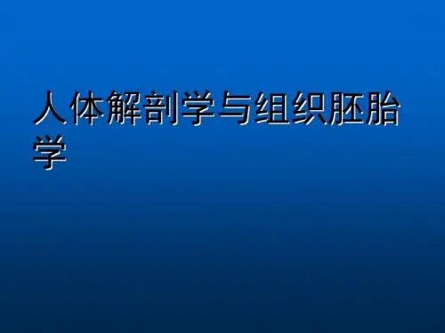 周围神经系统ppt课件