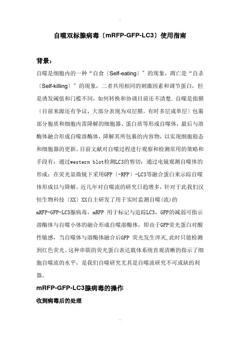 自噬双标腺病毒(mRFP-GFP-LC3)使用指南1404