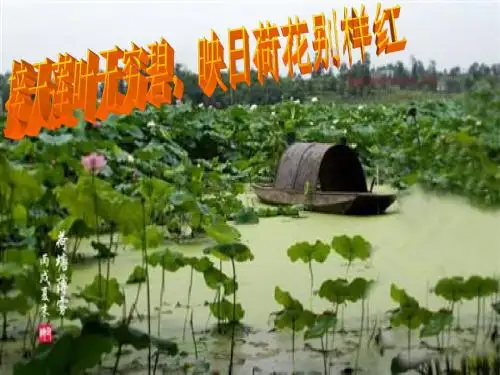 4-3荷塘旧事