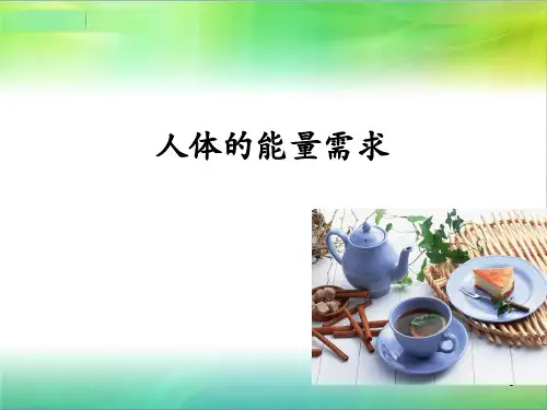 人体的能量需求