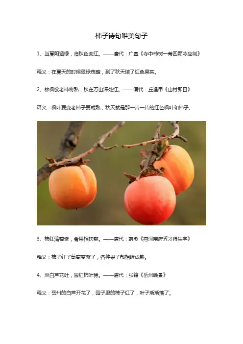 柿子诗句唯美句子