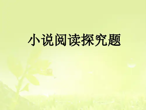 高考小说阅读探究题(实用)