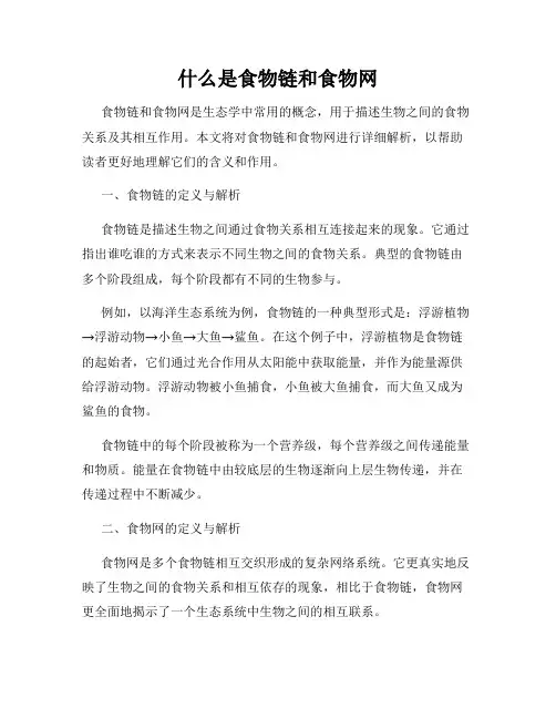 什么是食物链和食物网