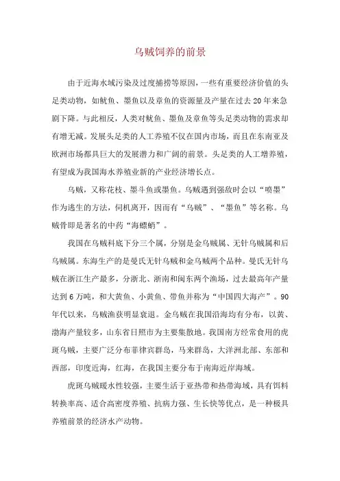 乌贼饲养的前景