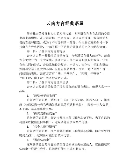 云南方言经典语录