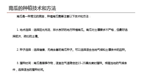 南瓜的种植技术和方法