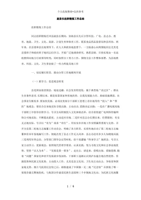 副县长挂职锻炼工作总结