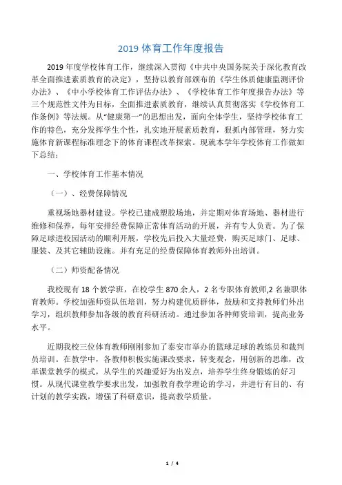 2019体育工作年度报告