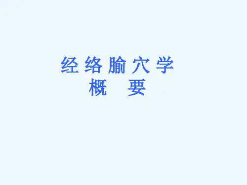 经络腧穴学(168页)