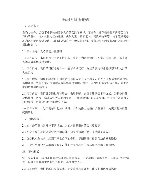 公益性创业计划书融资