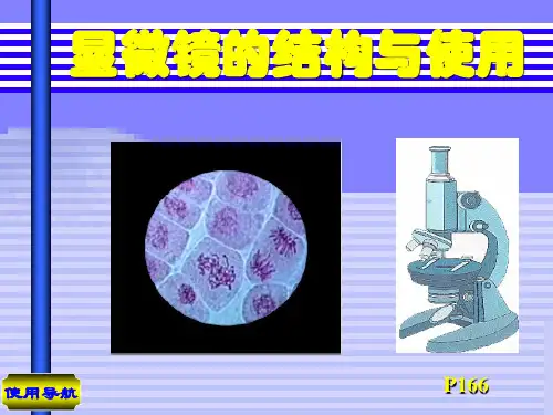 显微镜的使用ppt 优秀课件1