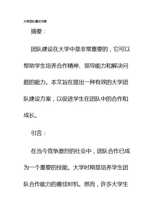 大学团队建设方案