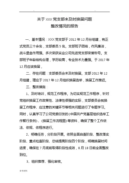 支部换届整改情况报告