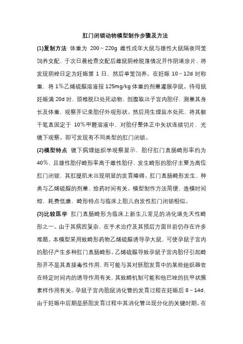 肛门闭锁动物模型制作步骤及方法