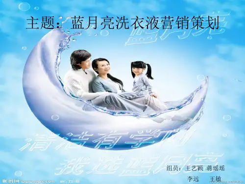 蓝月亮营销策划