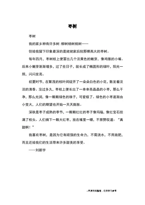 枣树_小学五六年级状物