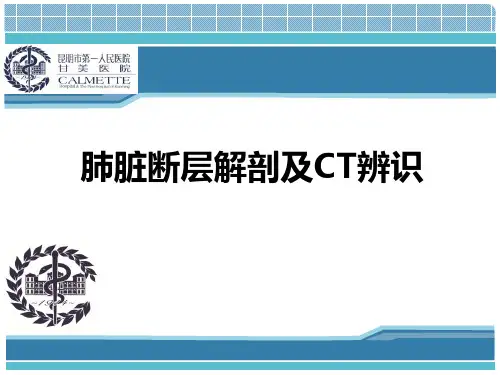 肺脏断层解剖及CT辨识