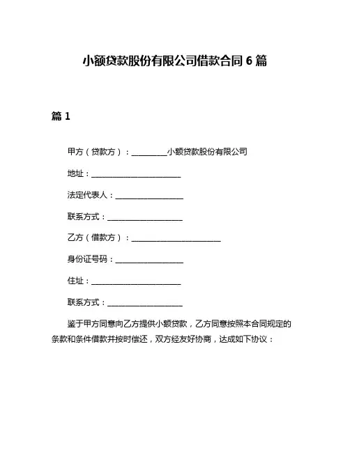 小额贷款股份有限公司借款合同6篇