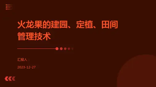 火龙果的建园、定植、田间管理技术