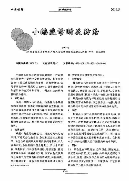 小鹅瘟诊断及防治