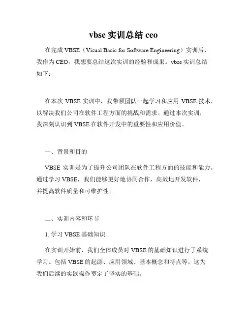 vbse实训总结ceo